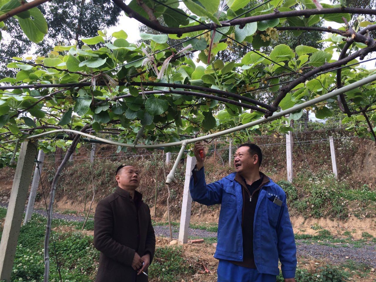 华宏科技股票最新动态，深度分析与观点阐述