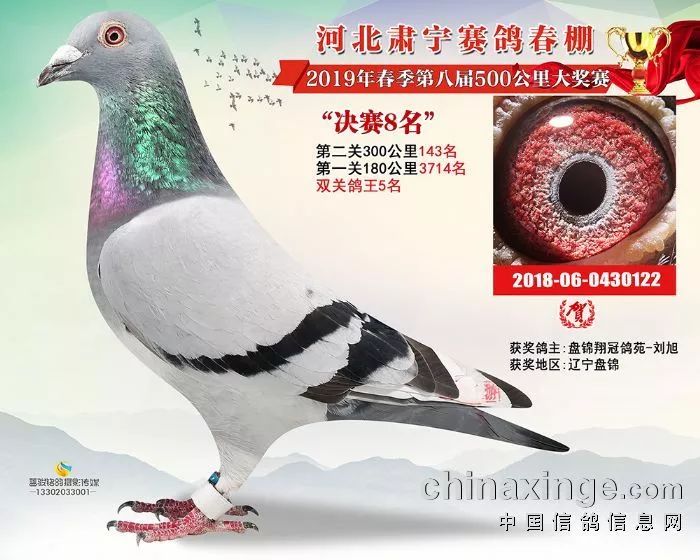 北京长明公棚最新消息多维深度探讨日揭晓！