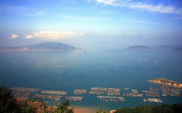 北仑小港奥园最新动态，探索自然美景，寻觅内心宁静之旅
