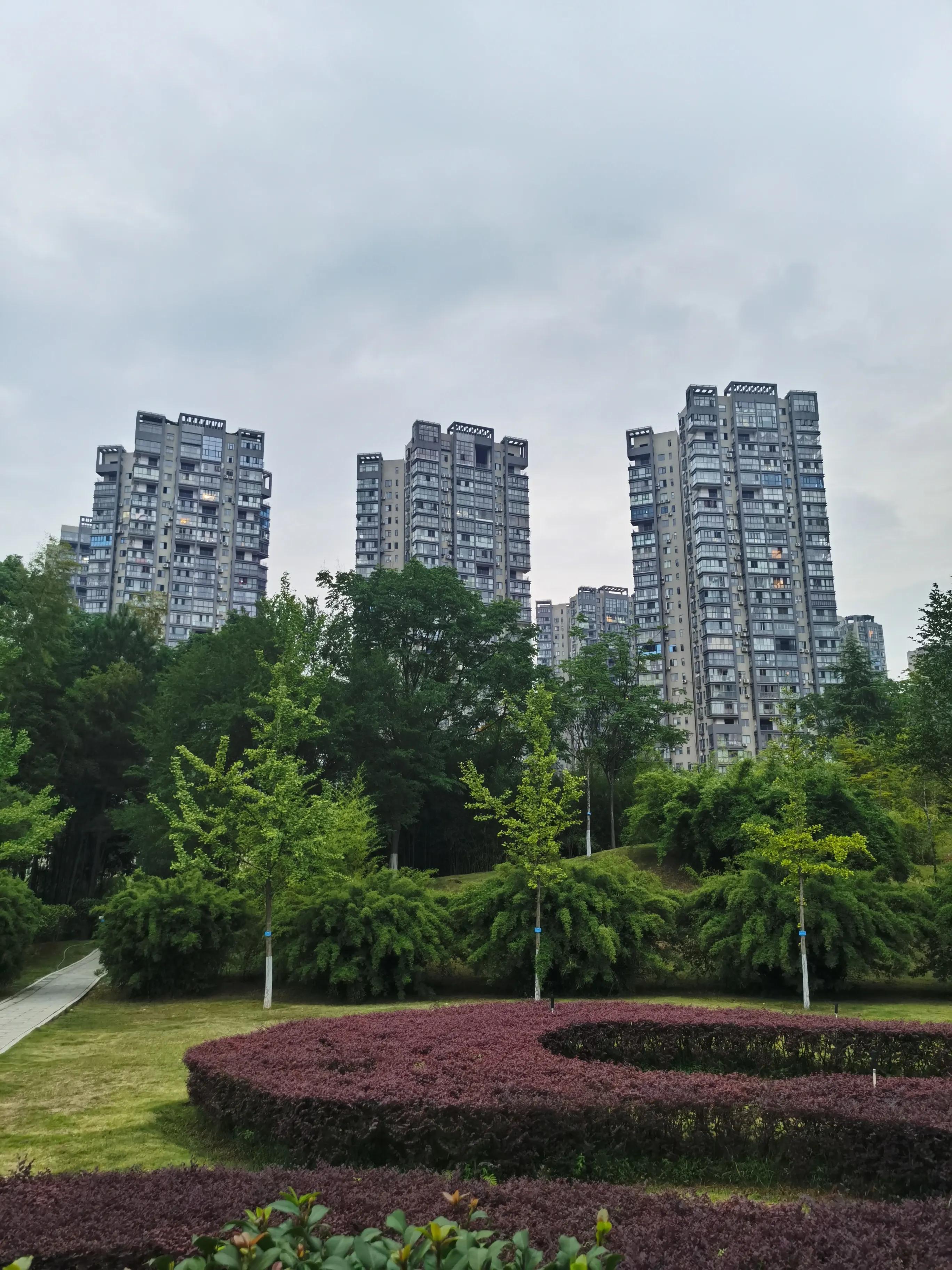 廊坊四季家园最新动态，小巷风情与隐藏小店探秘