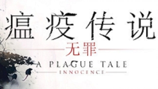 苏轻语薄景宸最新章节多维视角深度解析，人物关系与剧情发展揭秘