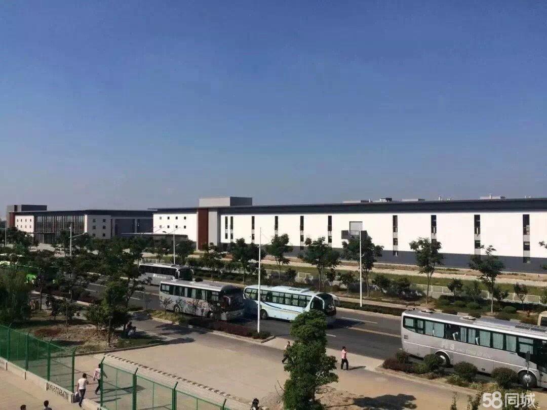 胡埭工业园普工招聘启事，机遇与挑战同行
